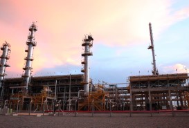 oleoegas